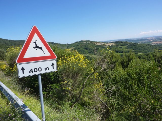 2015